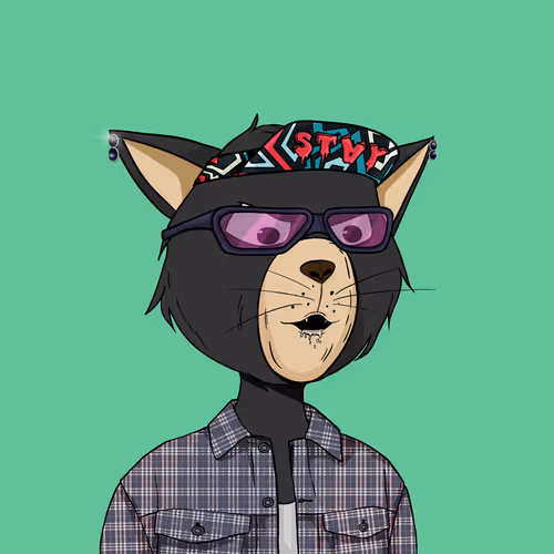 Staycats