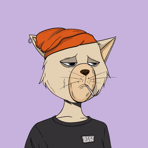 Stay Cats #8189
