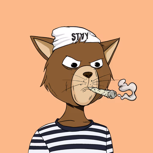Staycats