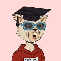 Stay Cats #138