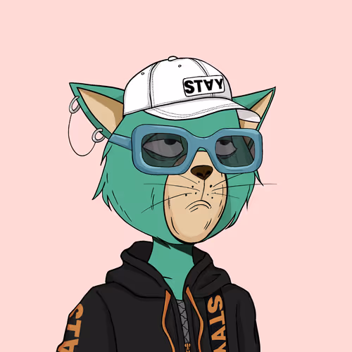 Staycats
