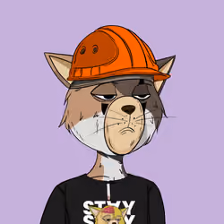 Stay Cats #8784