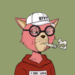Stay Cats #893