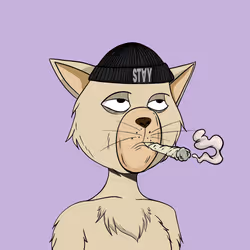 Stay Cats #3813
