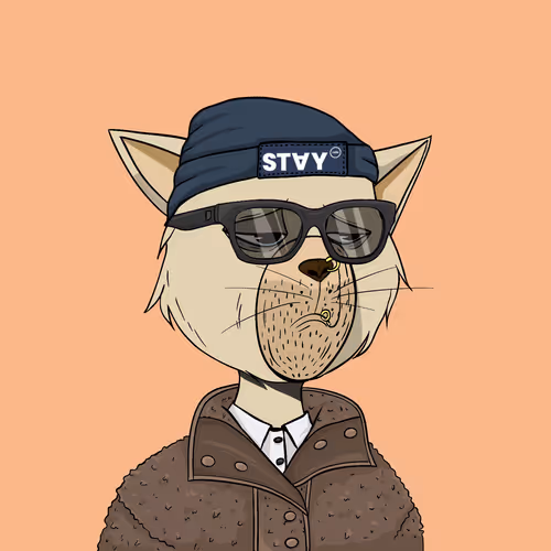 Staycats
