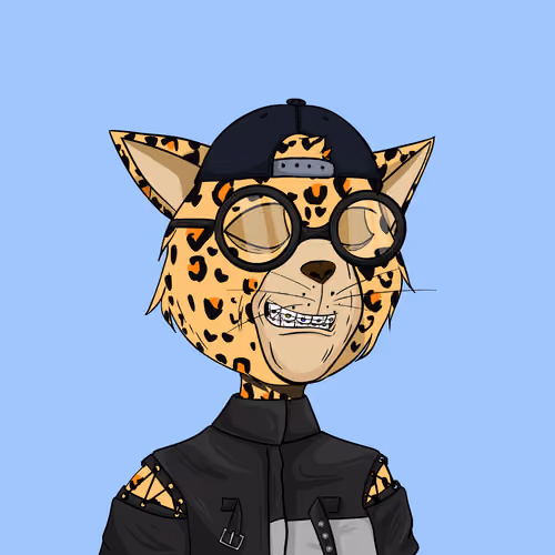 Stay Cats #2140