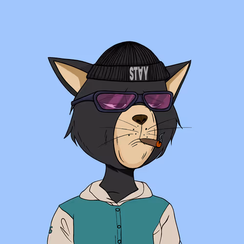 Staycats