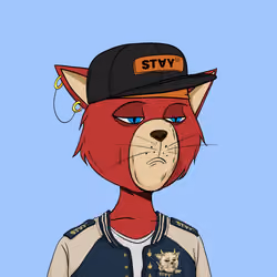 Stay Cats #2480