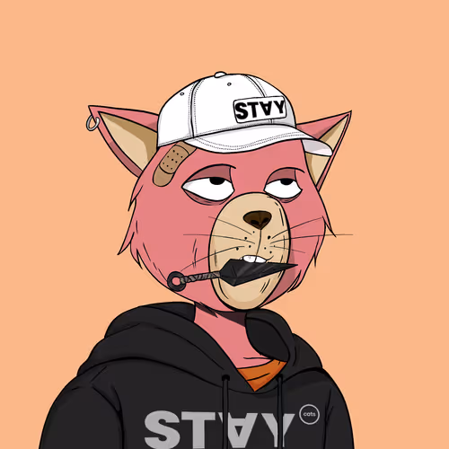 Staycats