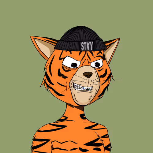 Staycats