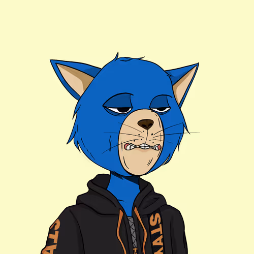 Stay Cats #2978