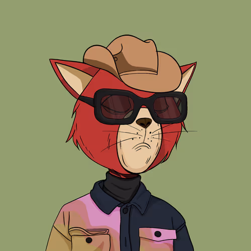 Staycats