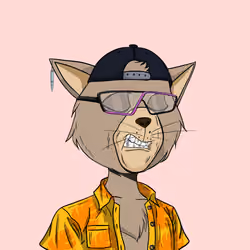 Stay Cats #8783