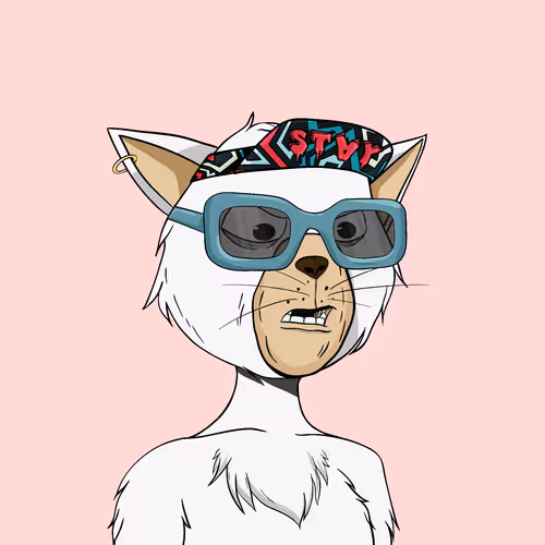 Staycats