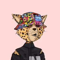 Stay Cats #5492