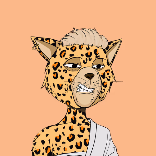 Staycats