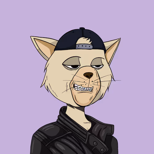 Staycats