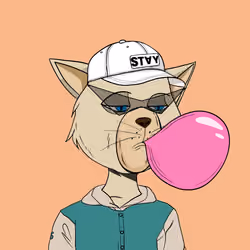 Stay Cats #979