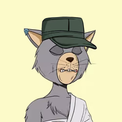 Stay Cats #7544