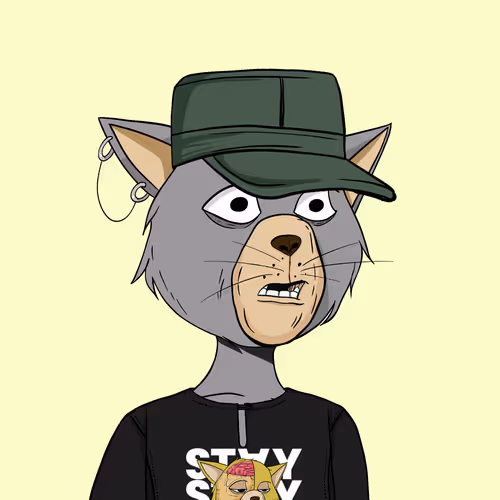 Staycats
