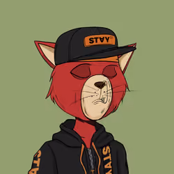 Stay Cats #5631