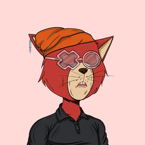 Staycats
