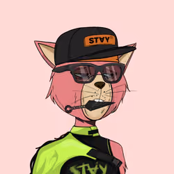 Stay Cats #7633