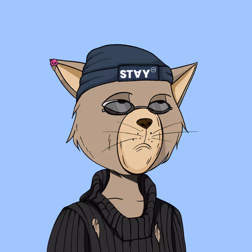 Stay Cats #2979