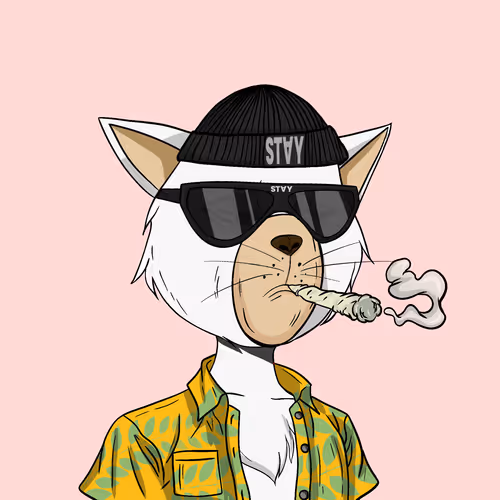 Staycats
