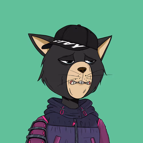 Staycats
