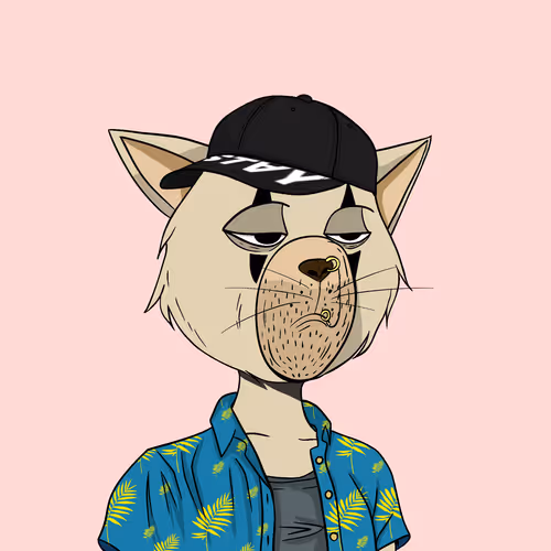 Staycats