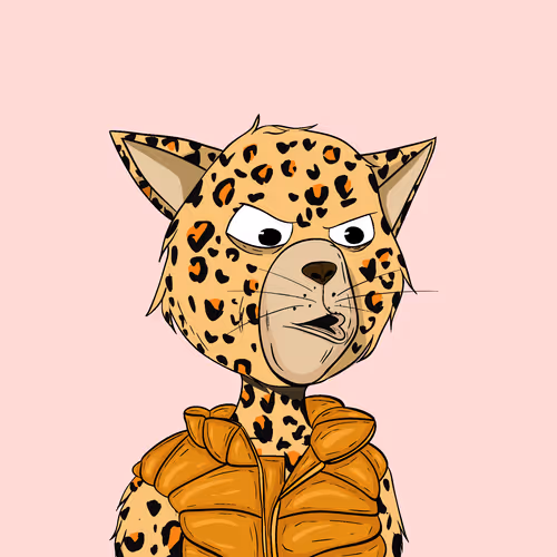 Staycats