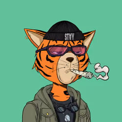 Stay Cats #3579