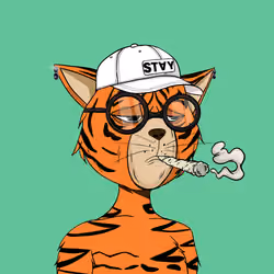 Stay Cats #5626