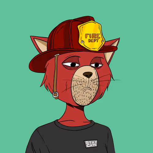 Staycats
