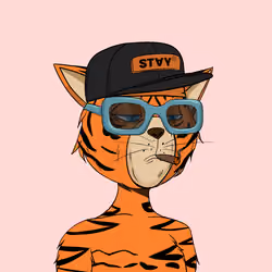 Stay Cats #7612