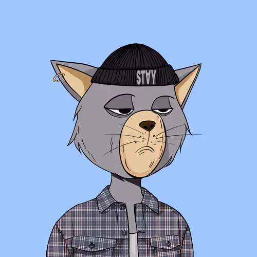 Staycats