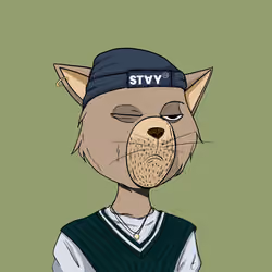 Stay Cats #2246