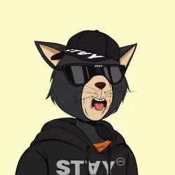 Stay Cats #5397