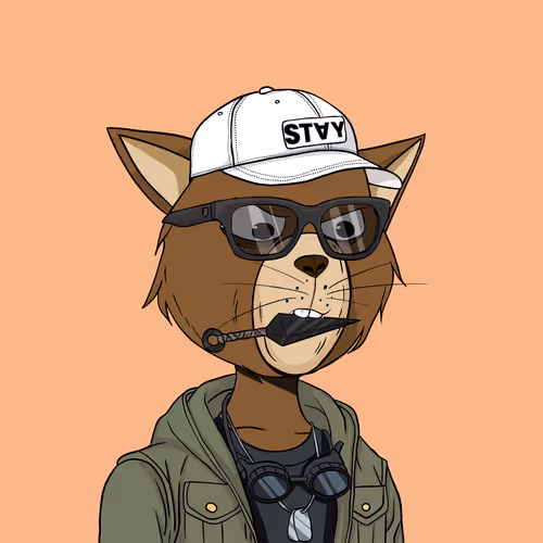 Staycats