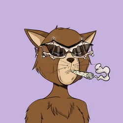 Stay Cats #6