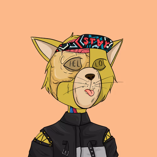Staycats