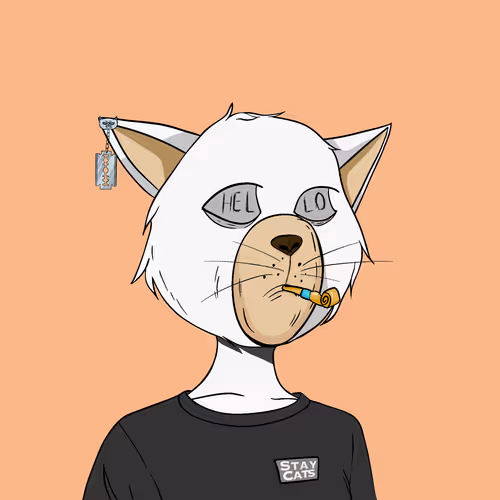 Staycats
