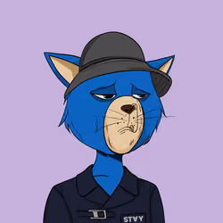 Stay Cats #6857