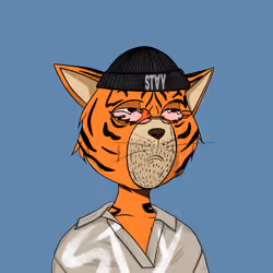 Stay Cats #1881