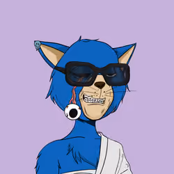Stay Cats #8455