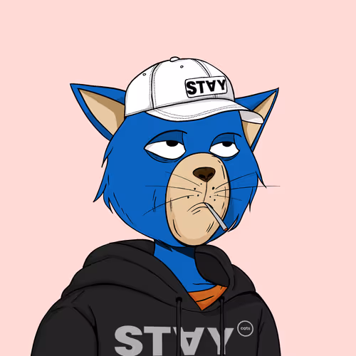 Staycats