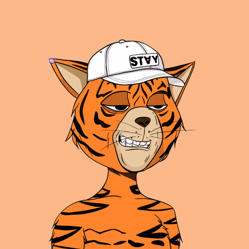 Staycats