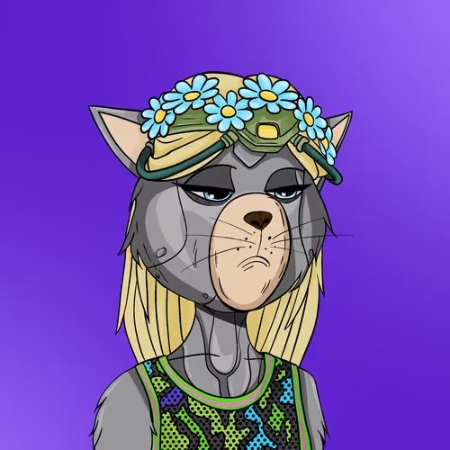 Staycats