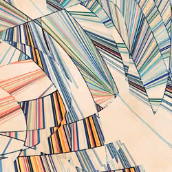 Waveform Collapse 193
